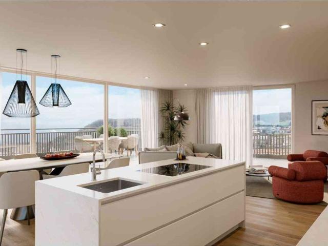 Apartment mieten in Gebenstorf, Aargau
