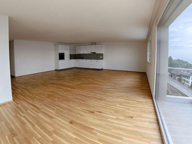 Apartment mieten in Birrwil, Aargau