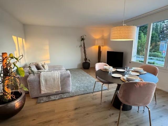 Apartment mieten in Brunnen, Ingenbohl