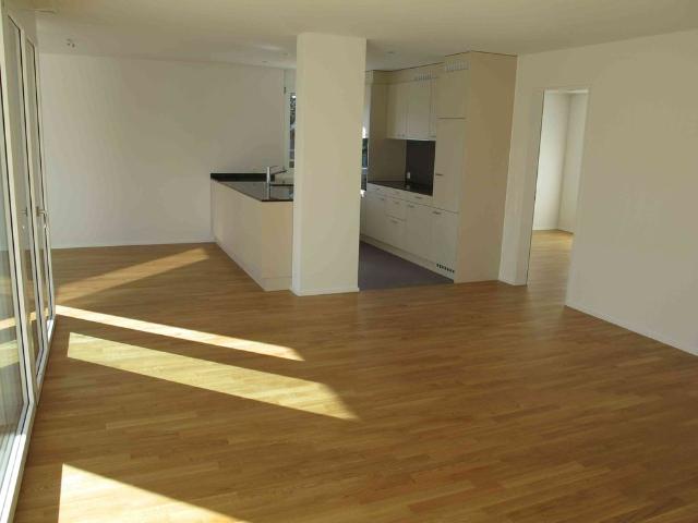 Apartment mieten in Lü
