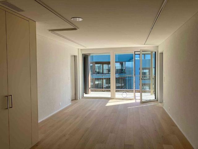 Apartment mieten in Illnau-Effretikon, Zürich