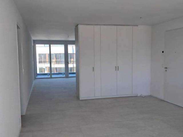 Apartment mieten in Illnau-Effretikon, Zürich