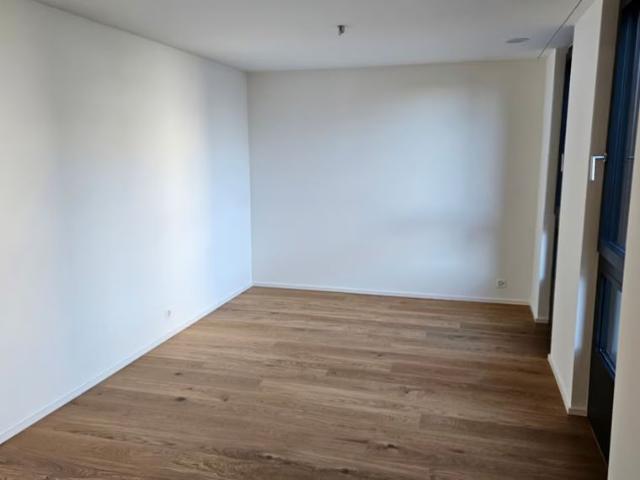 Apartment mieten in Rebstein, Wahlkreis Rheintal