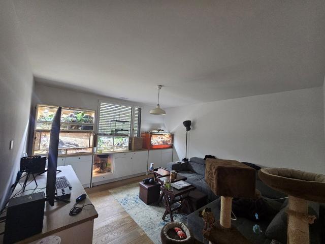 Apartment mieten in Pfauenhof, Liestal
