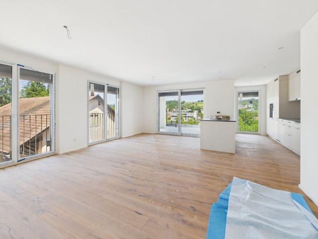 Apartment mieten in Menziken, Aargau