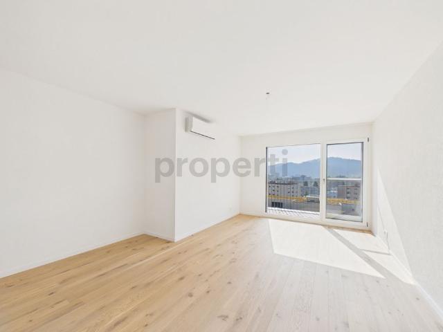 Apartment mieten in Winterthur, Zürich