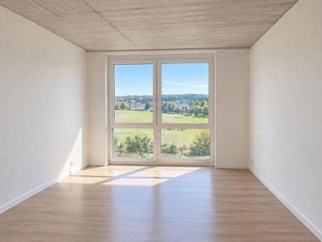 Apartment mieten in Au (SG), St. Gallen