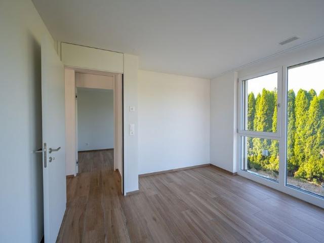Apartment mieten in Wolfwil, Amtei Thal-Gäu