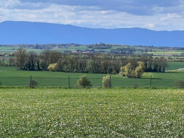 Apartment mieten in Dompierre (FR), Freiburg