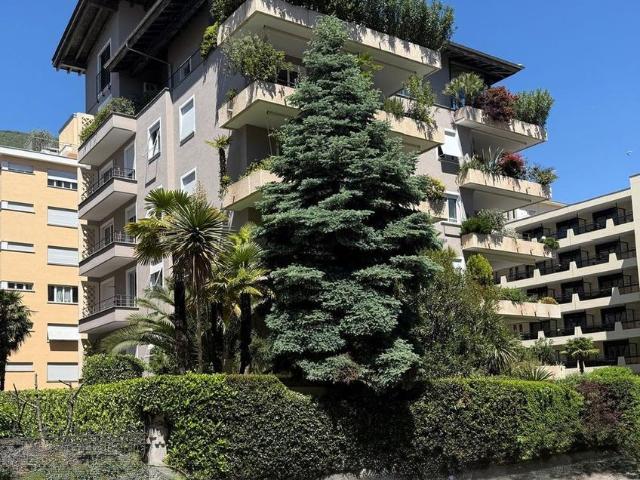 Apartment mieten in Locarno, Tessin