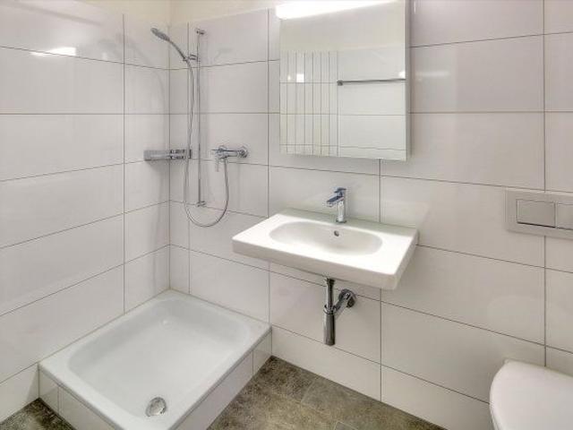 Apartment mieten in Seon, Aargau
