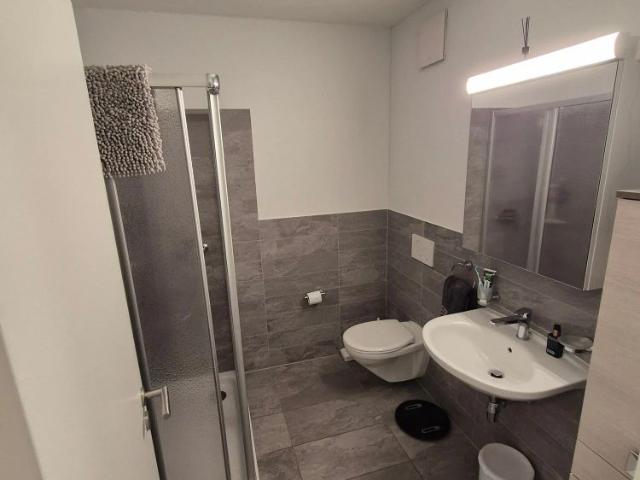 Apartment mieten in Arbedo-Castione, Tessin