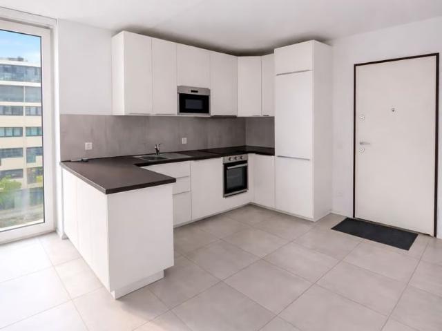 Apartment mieten in Paradiso, Tessin