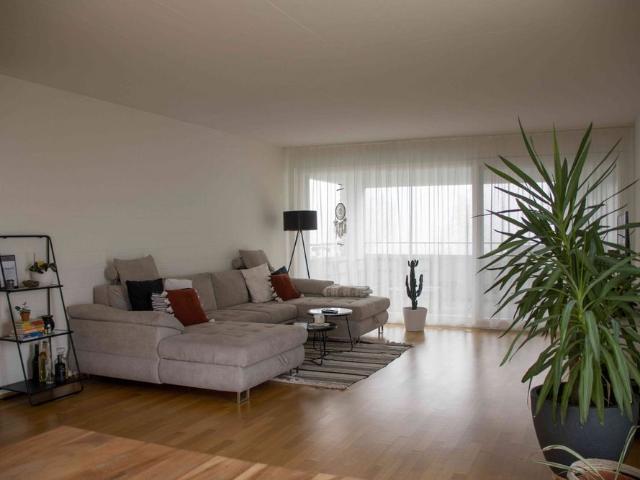 Apartment mieten in Lü