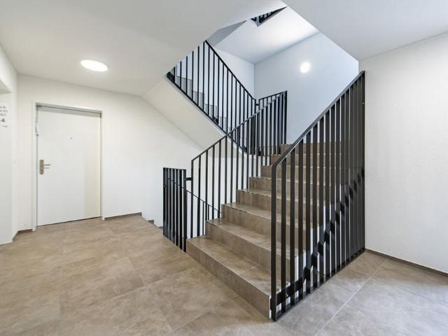 Apartment mieten in Birrwil, Aargau