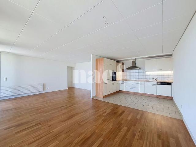 Apartment mieten in Orbe, Waadt