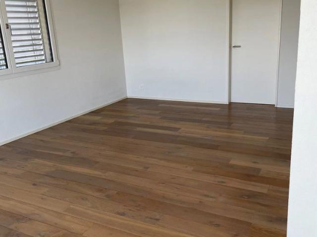 Apartment mieten in Wolfwil, Solothurn