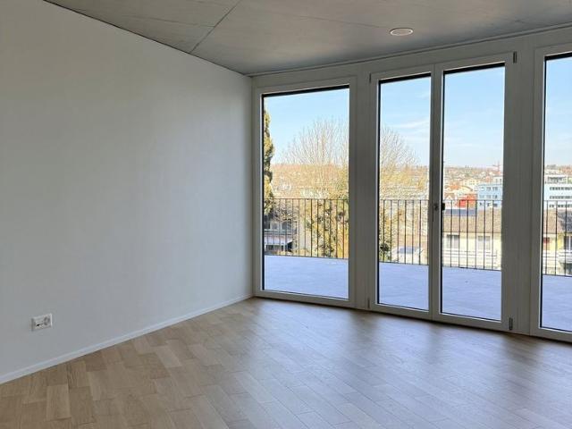 Apartment mieten in Wohlen (AG), Aargau