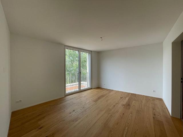 Apartment mieten in Einigen, Zürich