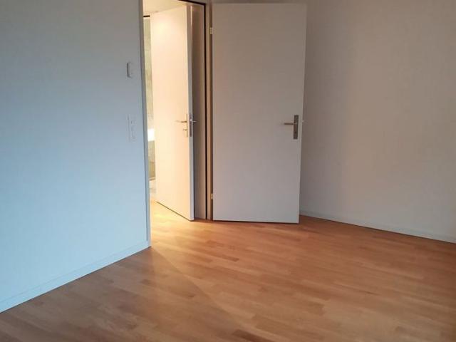 Apartment mieten in Hätschen, Dietikon