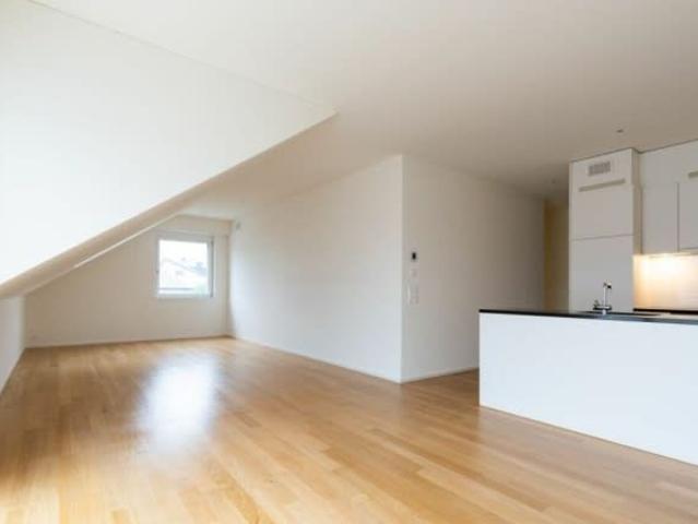 Apartment mieten in Schneisingen, Aargau