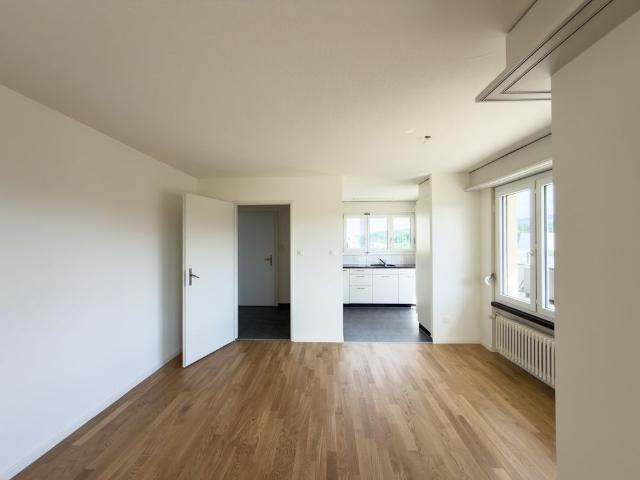 Apartment mieten in Spreitenbach, Aargau