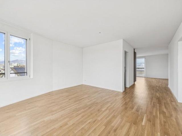 Apartment mieten in Rapperswil-Jona, St. Gallen