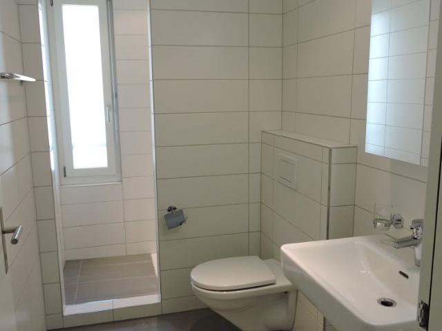 Apartment mieten in Seengen, Aargau