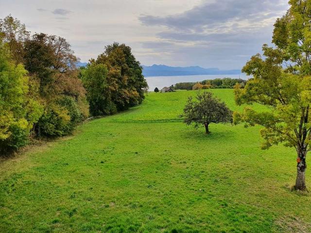 Apartment mieten in La Croix, Lutry, Waadt