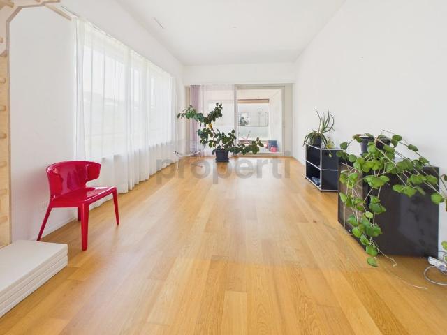 Apartment mieten in Windisch, Aargau