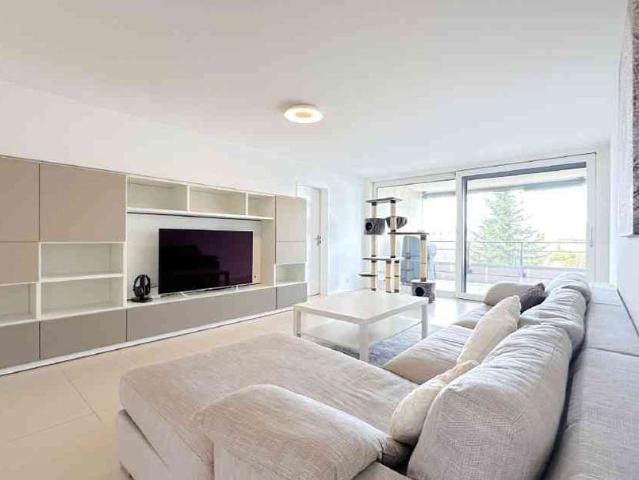 Apartment mieten in Baden, Aargau