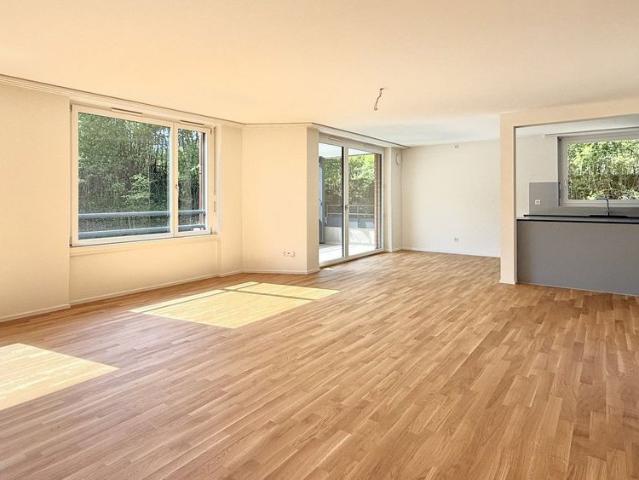 Haus mieten in Opfikon, Zürich