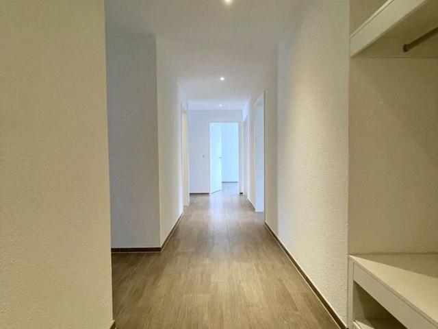 Apartment mieten in Menziken, Aargau