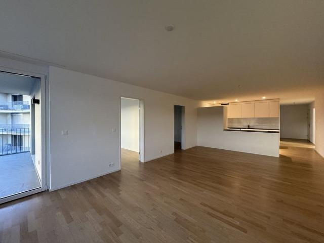 Apartment mieten in Brugg (AG), Aargau