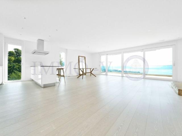 Apartment mieten in Vevey, Waadt