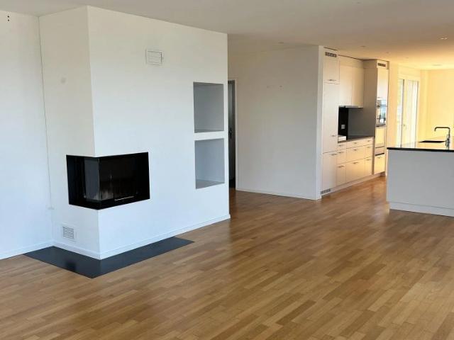 Apartment mieten in Wädenswil, Bezirk Horgen