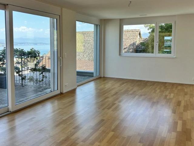 Apartment mieten in Wädenswil, Bezirk Horgen