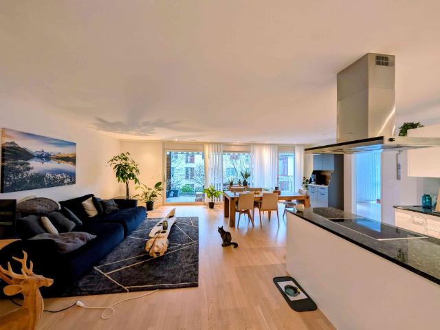 Apartment mieten in Dachsen, Zürich