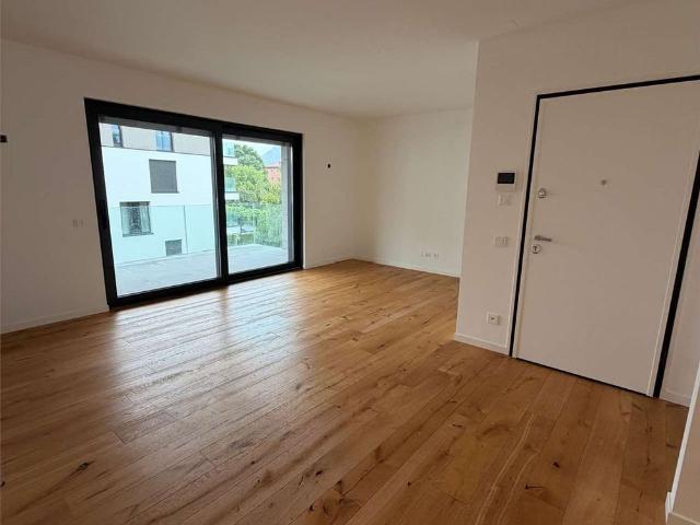 Apartment mieten in Massagno, Tessin