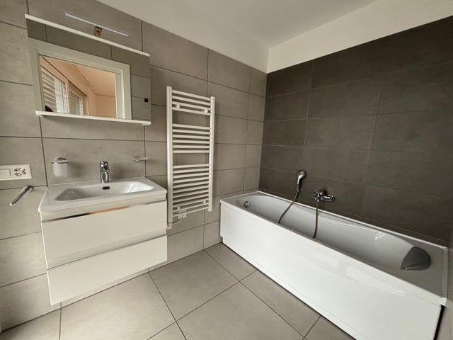 Apartment mieten in Paradiso, Tessin