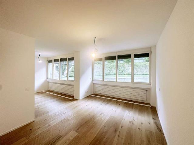 Apartment mieten in Paradiso, Tessin