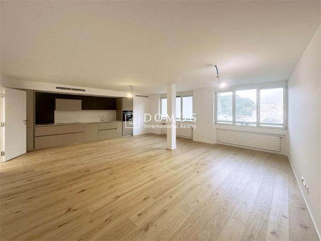 Apartment mieten in Paradiso, Tessin