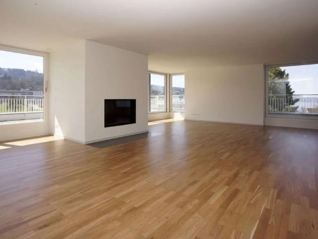 Apartment mieten in Horgen, Bezirk Horgen