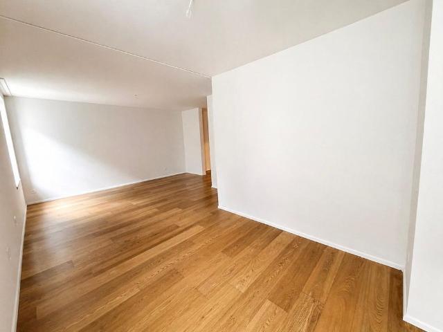 Apartment mieten in Winterthur, Zürich