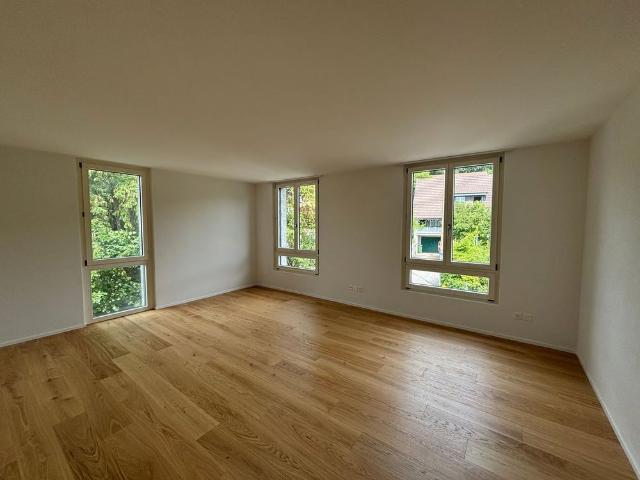 Haus mieten in Rüttenen, Solothurn