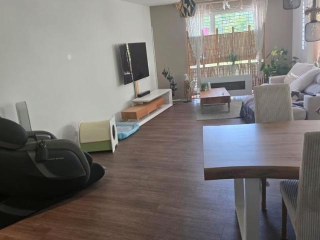 Apartment mieten in Düdingen, Freiburg