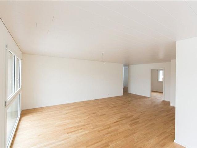 Apartment mieten in Hägendorf, Solothurn