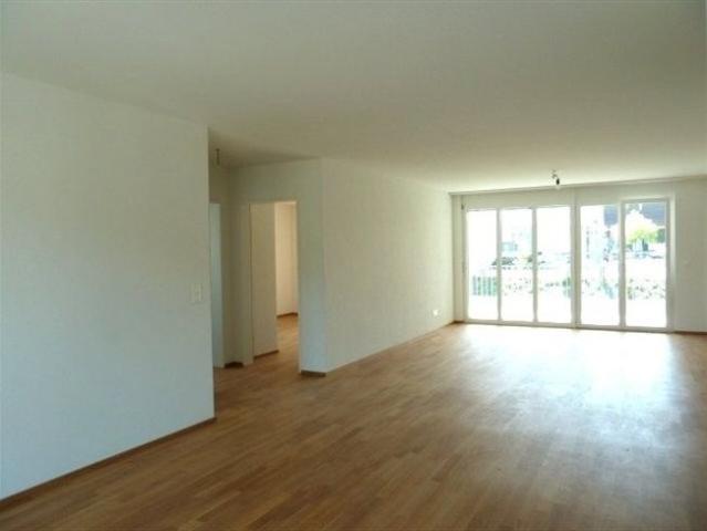 Apartment mieten in Illnau-Effretikon, Zürich