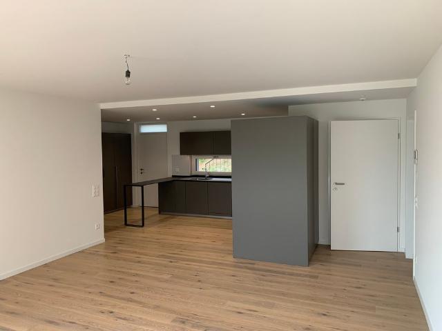 Apartment mieten in Pura, Tessin