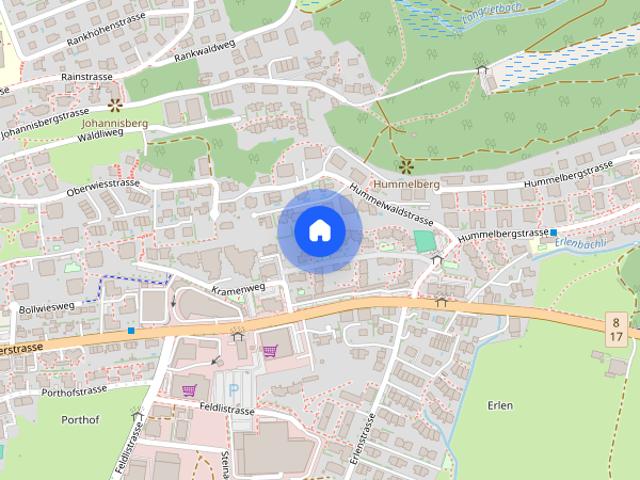 Apartment mieten in Rapperswil-Jona, St. Gallen